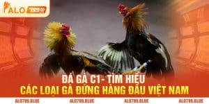 Đá Gà C1- Tìm Hiểu Các Loại Gà Đứng Hàng Đầu Việt Nam